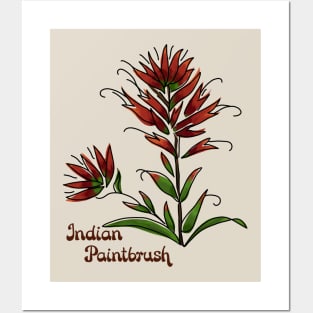 Indian Paintbrush Posters and Art